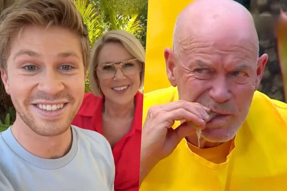 “Never Again!” Robert Irwin’s SHOCKING New Rule for Channel 7’s I’m A Celeb Reboot Will Leave Fans Speechless!